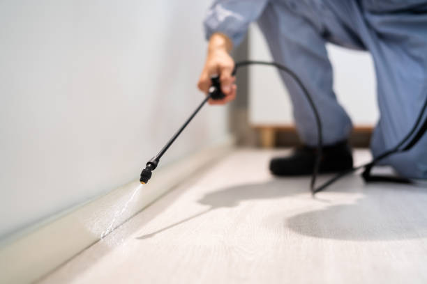 Licensed Rodent Control service in Walsh County County, ND - Nex Pest Control