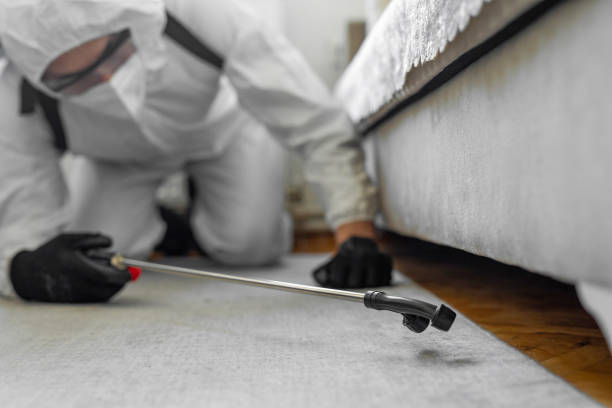 Professional Rodent Control technician working in Walsh County County, ND